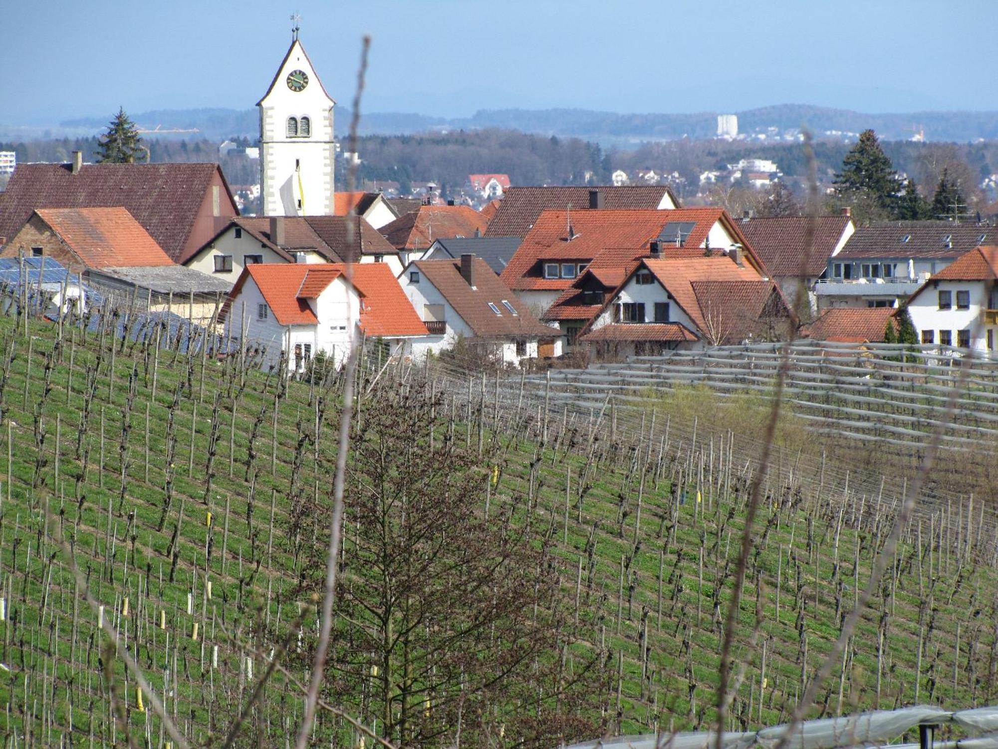 Obst- Ferienhof Ragg Имменштад-ам-Бодензее Экстерьер фото