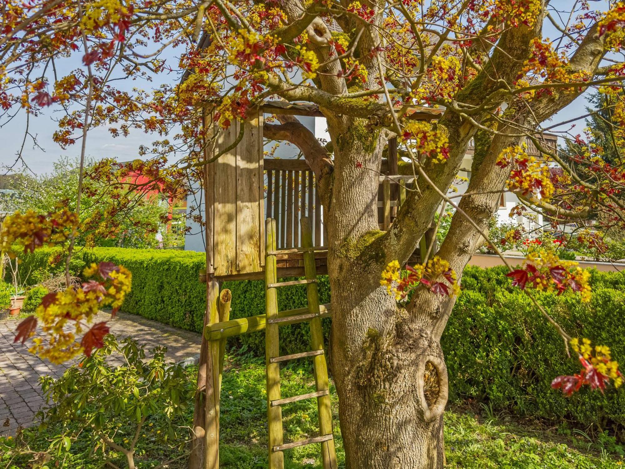 Obst- Ferienhof Ragg Имменштад-ам-Бодензее Экстерьер фото